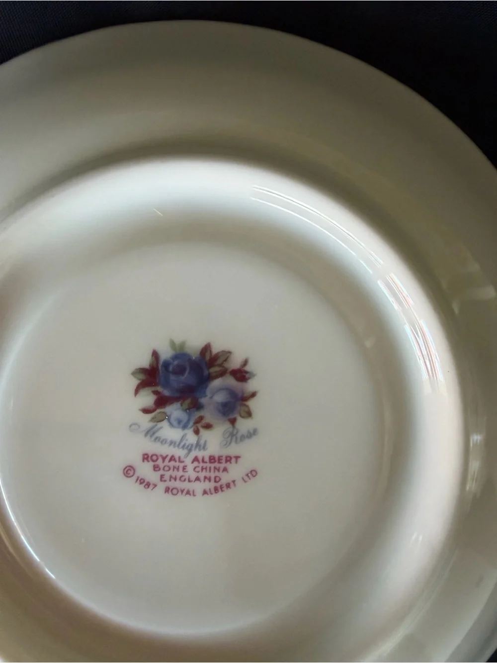 Vintage Royal Albert Moonlight Rose Pattern Footed Tea Cup & Saucer Bone China